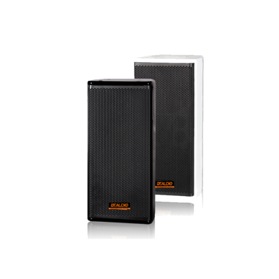 全频6寸音箱AT-601